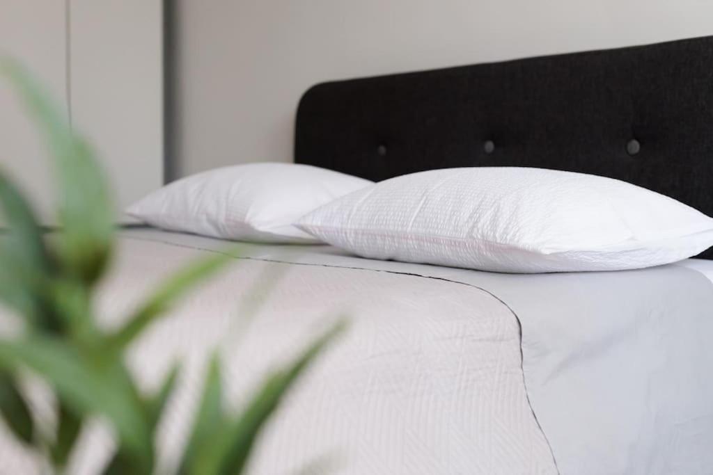 Apartment Dominicus Zadar Ngoại thất bức ảnh