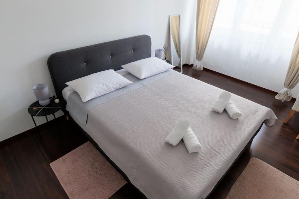 Apartment Dominicus Zadar Ngoại thất bức ảnh